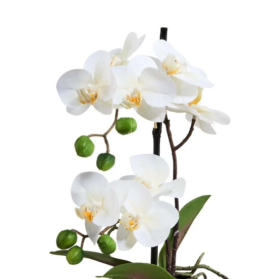 Angebote ⌛ BUTLERS FLORISTA Orchidee Im Topf 35 Cm 🎁 – Bild 2
