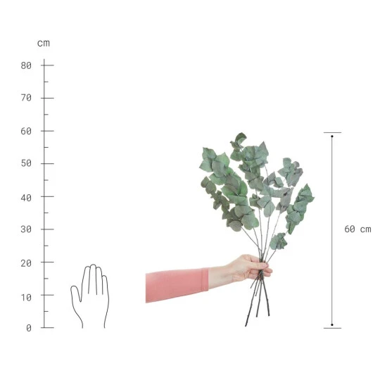 Bester Verkauf ✔️ BUTLERS FLOWER MARKET 2x Trockenblumen Eukalyptus Länge 60cm 👍 – Bild 3