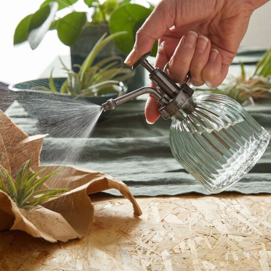 Bestes Angebot ✔️ BUTLERS BOTANIC Pflanzensprüher 200ml 😉 – Bild 2