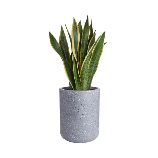 Billig 👏 BUTLERS CONCRETE Pflanztopf Outdoor Höhe 32cm ❤️ – Bild 3