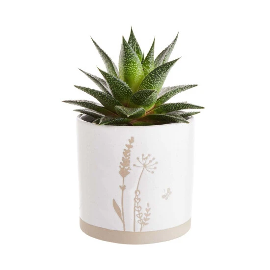 Neu 😉 BUTLERS COTTAGE Blumentopf Ø14cm ⭐ – Bild 2