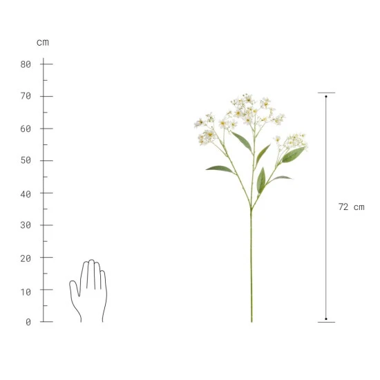 Bestes Angebot 🥰 BUTLERS FLORISTA Blütenzweig Daphne Höhe 72cm ✨ – Bild 3