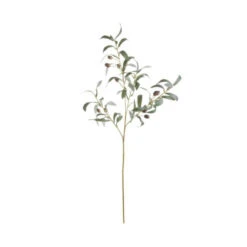 Beste Bewertungen von 😍 BUTLERS FLORISTA Olivenzweig Höhe 48cm 😍