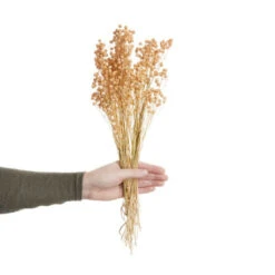 Top 10 💯 BUTLERS FLOWER MARKET Trockenblumen Linium Länge 50cm 👍