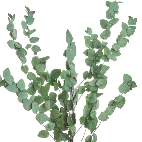 Großhandel ⌛ BUTLERS FLOWER MARKET Trockenblumen Eukalyptus Länge 60cm 🤩 – Bild 2