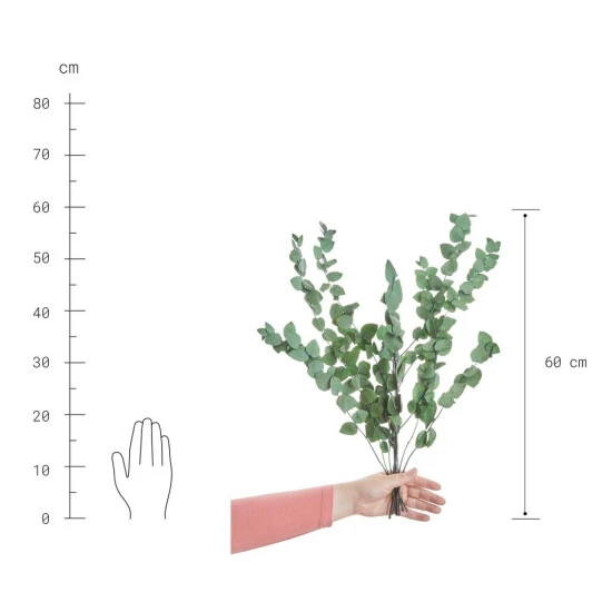 Großhandel ⌛ BUTLERS FLOWER MARKET Trockenblumen Eukalyptus Länge 60cm 🤩 – Bild 3